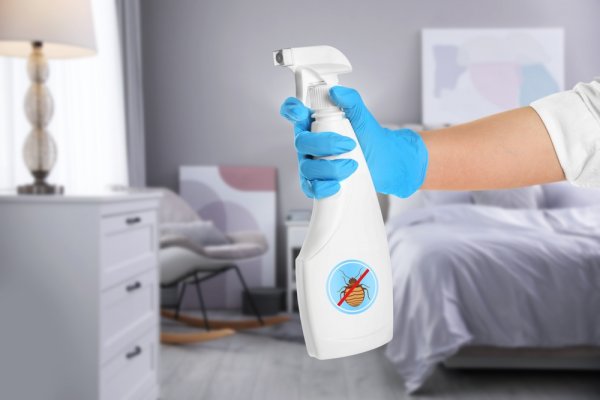 10 Rekomendasi Disinfektan Spray Terbaik Untuk Membasmi Kuman dan Virus (2023)
