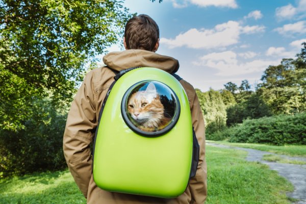 Nyaman! Inilah 10 Rekomendasi Tas Astronot Kucing untuk Ajak Kucing Jalan-jalan (2023) 