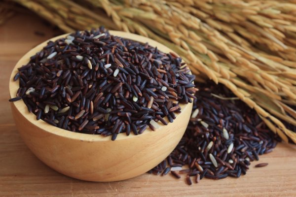 Phân biệt gạo lứt và nếp cẩm khác nhau như thế nào giúp bạn chọn được loại gạo phù hợp cho món ăn và nhu cầu sức khỏe của mình