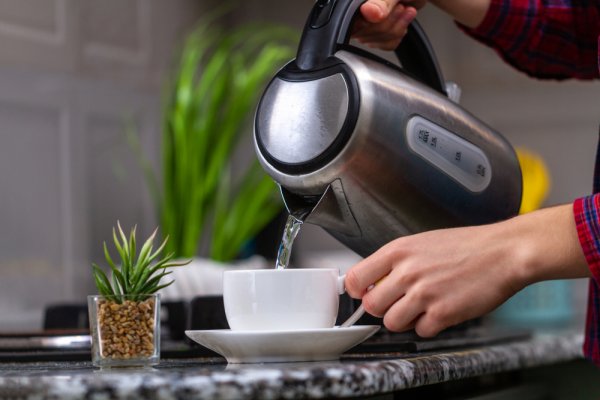 Looking for the Best Electric Kettle in India (2023)?  Use Our Guide to Grab the Perfect Kettle for Your Needs!