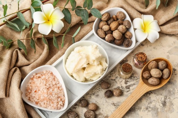 Top 10 sản phẩm chăm sóc da từ bơ hạt mỡ cho làn da ẩm mịn