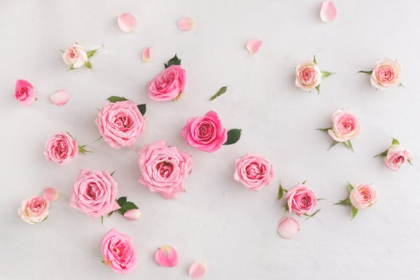 Gift Roses Because They are Perfect for Any Occasion and 10 Types of Rose Gifts You Can Order Online (2018)