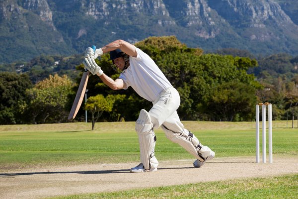 Take Your Batting to the Next Level. Great Tips on How to Select the Perfect Cricket Bat That Complements Your Batting Style (2020)