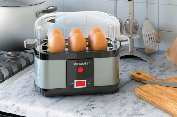 A Complete Guide on How to Use an Egg Boiler That Will Help You Get Your Nutritional Needs with the Perfectly Boiled Eggs Every Time in (2021)