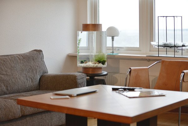 10 Rekomendasi Akuarium Mini Termurah yang Mempercantik Ruangan Anda (2023)