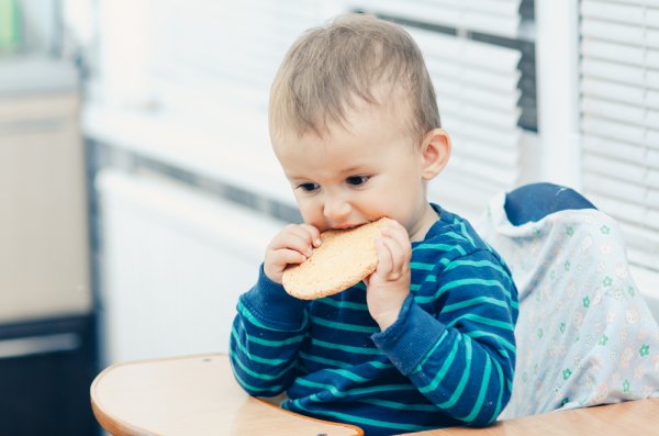 Kaya Gizi, Ini 10 Rekomendasi Biskuit Bayi untuk Usia 6 Bulan ke Atas (2023)