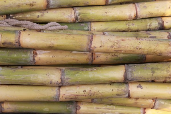 Lebih Mudah Memotong Bambu dengan 8 Rekomendasi Mesin Pemotong Bambu Berkualitas