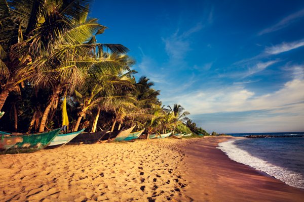 Hitchhikers Guide to What to Buy in Sri Lanka: 16 Things to Bring Back from the Island Nation in 2019
