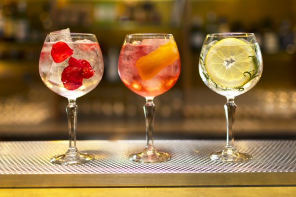 Don't Want the Usual Gin and Tonic and Wondering What Cocktails Can I Make With Gin? Learn to Make These 8 Delicious Gin Cocktails to Quench Your Thirst in 2020