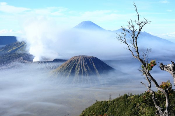 20 Rekomendasi Destinasi Wisata Jawa Timur 2022 yang Wajib Dikunjungi