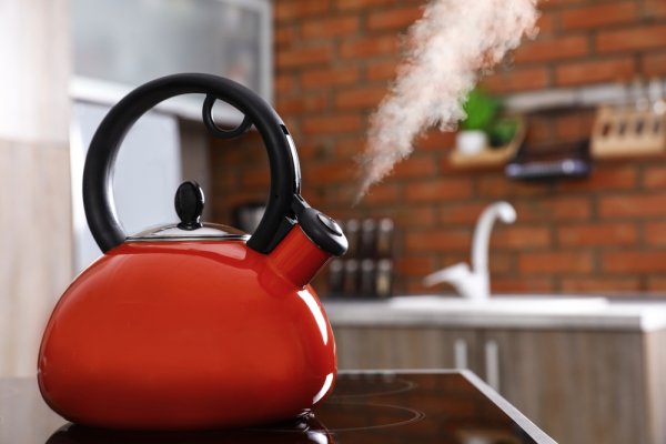 Lengkapi Peralatan Dapurmu dengan Teko Bunyi dan Ini 10 Rekomendasinya! (2020)