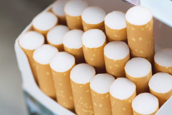 14 Pilihan Rokok Mahal Untuk Gaya Hidupmu