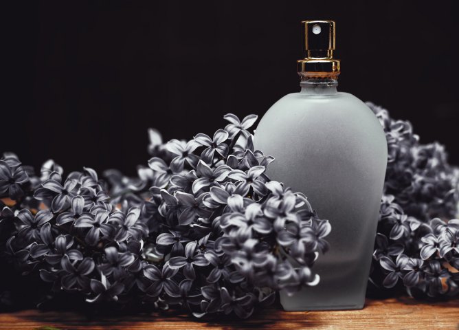 Inilah Cara Membuat Parfum Sendiri dengan 7 Bahan Pembuat Parfum