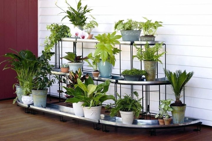 Bikin Rumah Semakin Cozy dengan 10 Rak Pot Bunga Minimalis 