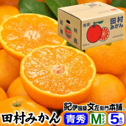 スイーツ みかん 人気ブランドランキング ベストプレゼント