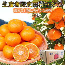 スイーツ みかん 人気ブランドランキング ベストプレゼント