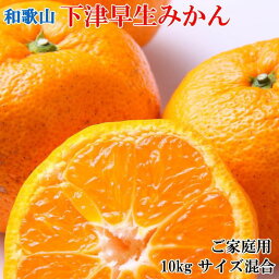 スイーツ みかん 人気ブランドランキング ベストプレゼント