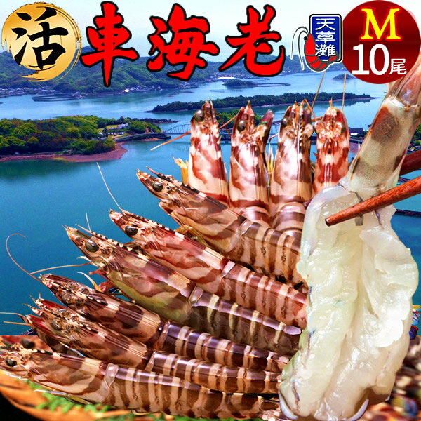 グルメ エビ 人気ブランドランキング21 ベストプレゼント