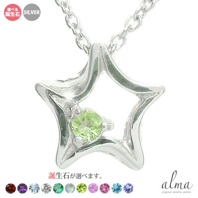 星ネックレス チャーム 誕生石 silver シルバー925 スターリングシルバー 一粒 ペンダントトップ レディース ユニセックス 誕生日 記念日 プレゼント 2023 送料無料