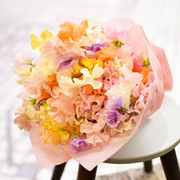 花 スイートピー 人気ブランドランキング22 ベストプレゼント 花 スイートピー 人気ブランドランキング22 ベストプレゼント