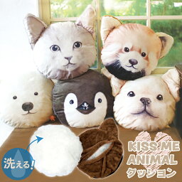 安眠グッズ ペンギン 人気ブランドランキング ベストプレゼント