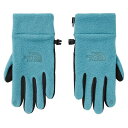 ザ・ノース・フェイス　手袋（メンズ） ノースフェイス メンズ 手袋 アクセサリー The North Face Men's Etip Heavyweight Gloves Storm Blue Heather