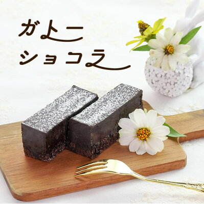 父の日ギフト 父の日 食べ物 スイーツ プレゼント 送料無料 スイーツギフト かわいい 花以外 お菓子 子供 高級 ギフト プチギフト のし対応 おしゃれ チョコ チョコレート ケーキ ラッピング 誕生日 バースデー ガトーショコラ 270g 国産 業務用 家庭用