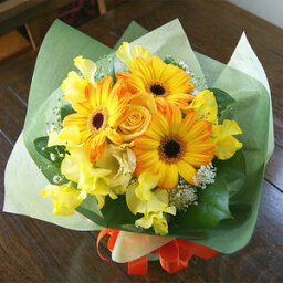 妊婦への花束 人気プレゼントランキング22 ベストプレゼント 妊婦への花束 人気プレゼントランキング22 ベストプレゼント