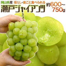 スイーツ ぶどう 人気ブランドランキング ベストプレゼント