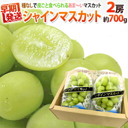 果物ギフト お歳暮プレゼント 人気ランキング21 ベストプレゼント 果物ギフト お歳暮プレゼント 人気ランキング21 ベストプレゼント