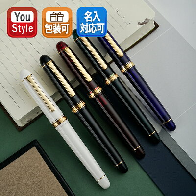 プラチナ 万年筆 PNB-13000 PLATINUM #3776 センチュリー CENTURY 大型14K GT ブラック/シュノンソーホワイト/ローレルグリーン/ブルー/レッド UEF/EF/F/SF/M/Bサイズ プレゼント ギフト お祝い 文房具
