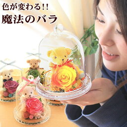 乳幼児 女の子 への花のギフト 人気プレゼントランキング ベストプレゼント