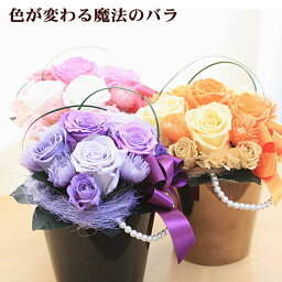 花 傘寿お祝いプレゼント 人気ランキング21 ベストプレゼント 花 傘寿お祝いプレゼント 人気ランキング21 ベストプレゼント