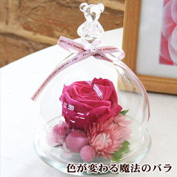 乳幼児 女の子 への花のギフト 人気プレゼントランキング ベストプレゼント