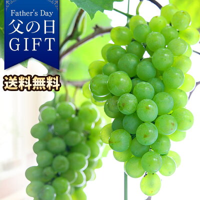 【クーポンで100円OFF】父の日 プレゼント ギフト 鉢植え 果樹鉢 植物 送料無料 休肝日を愉しむ〜デザート編〜果樹鉢「幻の葡萄・タノレッド」 ブドウ ぶどう 葡萄 フルーツ 楽天総合1位 メッセージカード付き イベントギフト 2022