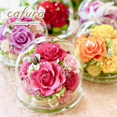 母の日に人気のバラ 22選 鉢植えや花束などのおすすめや花言葉もご紹介 ベストプレゼントガイド 母の日に人気のバラ 22選 鉢植えや花束などのおすすめや花言葉もご紹介 ベストプレゼントガイド
