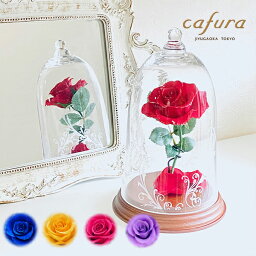 両親への花 バラ 結婚記念日プレゼント 人気ランキング ベストプレゼント