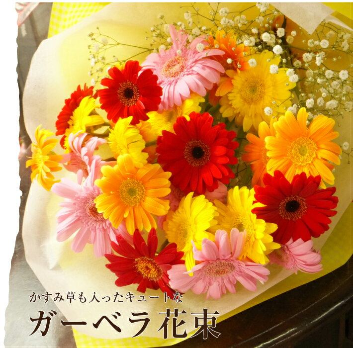 花 ガーベラ 還暦祝いプレゼント 人気ランキング22 ベストプレゼント