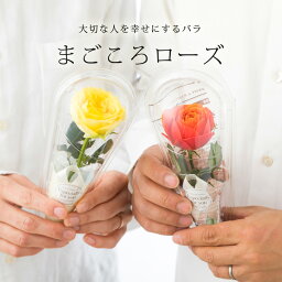 赤ちゃん ベビーへの花束 人気プレゼントランキング21 ベストプレゼント 赤ちゃん ベビーへの花束 人気プレゼントランキング21 ベストプレゼント