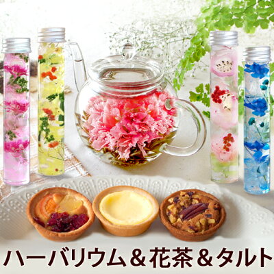 ハーバリウム お花のつぼみ カーネーション茶 タルト 母の日 2020 女性 花 スイーツ 誕生日 プレゼント フラワーギフト 花インテリア 花と ハーバリュウム 挨拶 md