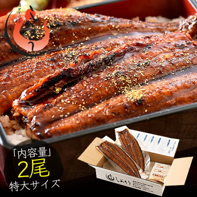 うなぎ 蒲焼き ウナギ 鰻 無頭 国産 特大サイズ 約200g×2尾 ギフト 国産鰻 うなぎの蒲焼 蒲焼 鰻の蒲焼 美味しい うなぎ蒲焼 国産うなぎ ウナギ蒲焼き 鰻蒲焼 国産うなぎ蒲焼 食品ギフト 贈り物 プレゼント 国産ウナギ 送料無料 旬の味覚 グルメ 食品