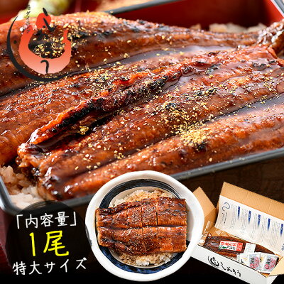 うなぎ まとめ買いクーポンでお得!うなぎ 蒲焼き お中元 無頭 鹿児島 国産 特大サイズ 約200g×1尾 ウナギ 鰻 2尾以上のご注文でギフト用化粧箱配送 プレゼント 実用的 送料無料 うなぎの蒲焼 蒲焼 国産うなぎ うなぎ蒲焼ギフト 食品 御中元