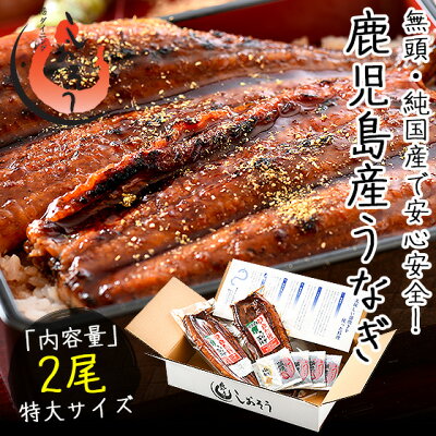 うなぎ 蒲焼き ウナギ 鰻 お中元 無頭 鹿児島 国産 特大サイズ 約200g×2尾 ギフト 御中元 うなぎの蒲焼 蒲焼 鹿児島産 鰻の蒲焼 美味しい うなぎ蒲焼 国産うなぎ 鰻蒲焼 国産うなぎ蒲焼 贈り物 プレゼント 送料無料 御中元ギフト 食品