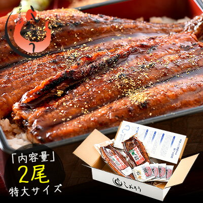 うなぎ 蒲焼き ウナギ 鰻 無頭 鹿児島 国産 特大サイズ 約200g×2尾 ギフト 国産鰻 うなぎの蒲焼 蒲焼 鹿児島産 鰻の蒲焼 美味しい うなぎ蒲焼 国産うなぎ ウナギ蒲焼き 鰻蒲焼 国産うなぎ蒲焼 贈り物 プレゼント 国産ウナギ 送料無料 旬の味覚 グルメ 食品