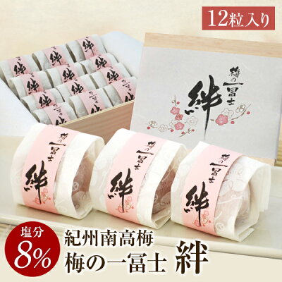 梅干し お取り寄せグルメ 送料無料 梅の一冨士 絆 12粒入 梅干 うめぼし 紀州南高梅 贈答 ギフト 個包装 桐箱入り 送料込み 産地直送 和歌山県産 お中元 お歳暮 はちみつ梅 しそ梅 かつおだし梅 北海道・沖縄は送料700円