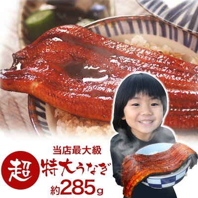 国産うなぎの最高峰 浜名湖うなぎ 約285g 超特大蒲焼 【 数量限定 】【 国内産 】【 浜名湖産 】【 静岡県産 】【 特大 ウナギ 鰻 蒲焼 国産 】