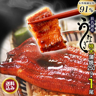 浜名湖うなぎ蒲焼き 特大250g×1本ギフト 無添加のタレ使用【 送料無料 】 浜名湖産 ウナギ 鰻 蒲焼 国内産 静岡県産 昔ながら 本格 高級 グルメ 誕生日プレゼント あす楽 誕生日プレゼント