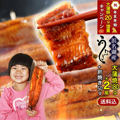 「増量キャンペーン中」国産うなぎの最高峰 浜名湖うなぎ 大蒲焼180g×2尾+肝焼き ギフト 無添加のタレ使用【 送料無料 】浜名湖産 ウナギ 鰻 蒲焼 国内産 静岡県産 高級 グルメ あす楽 誕生日プレゼント