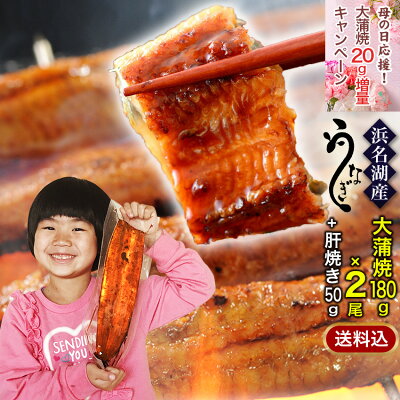 「母の日応援!20g増量キャンペーン」国産うなぎの最高峰 浜名湖うなぎ 大蒲焼180g×2尾+肝焼き約4人前 ギフト 無添加のタレ使用【送料無料】浜名湖産 ウナギ 鰻 蒲焼 国内産 静岡県産 高級 あす楽 プレゼント 母の日