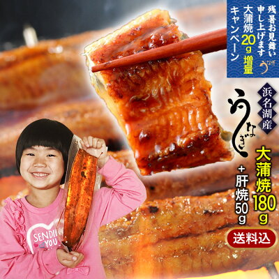 【8/4~8/11までポイント3倍】残暑見舞い申し上げます 20g増量 国産うなぎの最高峰 浜名湖うなぎ 大蒲焼180g+肝焼き約2人前 ギフト 無添加のタレ使用【送料無料】浜名湖産 ウナギ 鰻 蒲焼 国内産 静岡県産 本格 高級 あす楽 プレゼント 土用の丑の日 暑中見舞い
